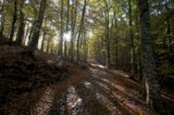 Pollino National Park Basilicata Regione South Italy