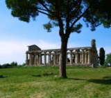 Paestum  Campania South Italy