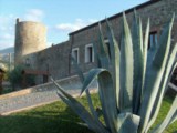 Santa Maria del Cedro Calabria South Italy