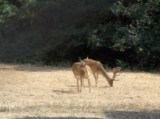 La Sila National Park Calabria South Italy